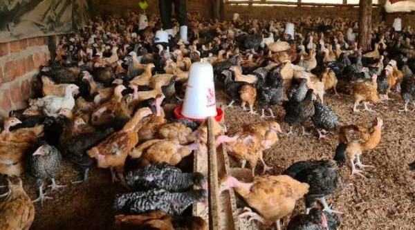 Economic empowerment of Persons with Disabilities and their families